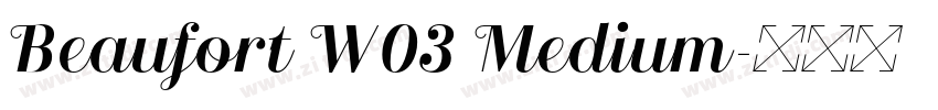 Beaufort W03 Medium字体转换